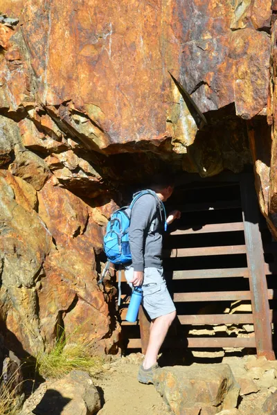 DSC_7836 (Large).JPG